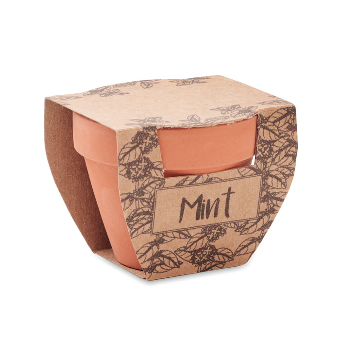 MINT POT - Terrakotta-Topf Minze