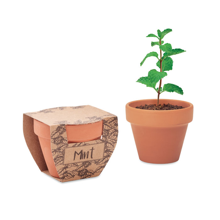 MINT POT - Terrakotta-Topf Minze