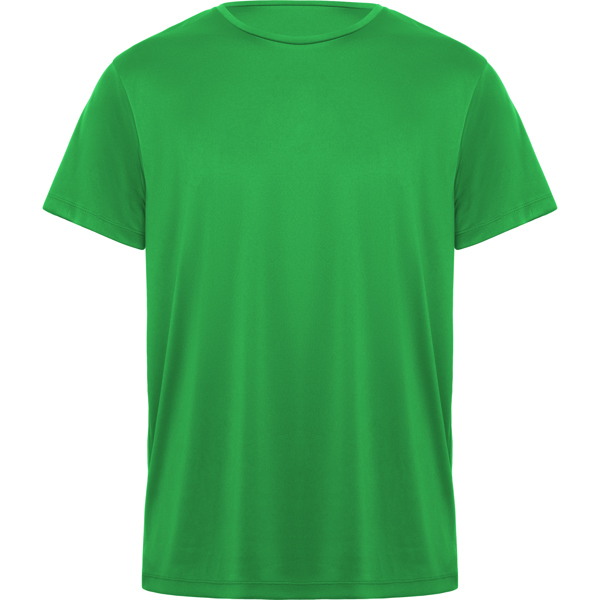 DAYTONA - FERN GREEN
